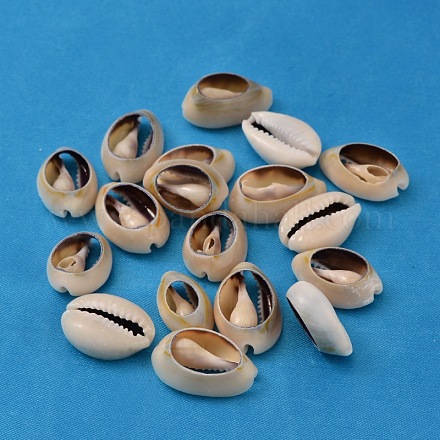 Natürliche Kaurimuschel Perlen X-BSHE-S052-1