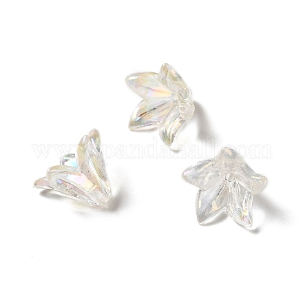 Transparentes bouchons acrylique de perles OACR-H016-05A-1