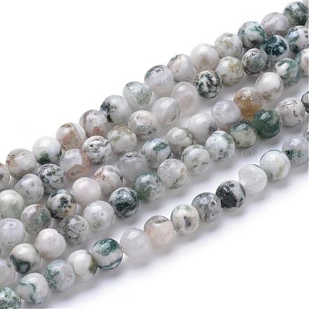 Chapelets de perle en agate d'arbre naturelle G-R411-25-4mm-1