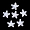 Electroplate Plastic Beads, Starfish, White, 19~19.5x19.5x8.8mm, Hole: 1.8mm