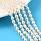 Natural Cultured Freshwater Pearl Beads Strands, Rice, Grade 6A, Old Lace, 5~5.5mm, Hole: 0.5mm, about 50~51pcs/strand, 14.37''~14.57''(36.5~37cm)