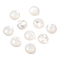 Natural White Shell Beads, No Hole/Undrilled, Flat Round, Seashell Color, 12x5mm