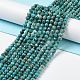 Natural Chrysocolla Beads Strands G-P514-A03-03-2