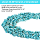 Ahandmaker 2 Strands Nuggets Synthetic Turquoise Bead Strands G-GA0001-48-2