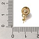 Плоские круглые латунные чашечки из ракушек пауа с жемчугом KK-K389-143G-3