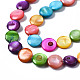 Eau douce naturelle de coquillage perles brins SHEL-S278-019A-3