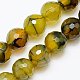 Chapelets de perles veines de dragon en agate naturelle G-G445-12mm-03-1