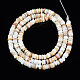 Natural Freshwater Shell Beads Strands SHEL-T018-28-2