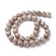 Natural Fossil Coral Beads Strands G-F563-02-8mm-2