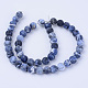 Natural Sodalite Beads Strands X-G-Q462-10mm-07-2