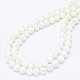 Benecreat 2 brins de perles de coquille de trochid naturel / brins de coquille de troca BSHE-BC0001-07-4