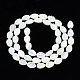 Chapelets de perles de coquille de trochid / trochus coquille SSHEL-N034-135A-01-2
