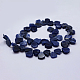 Natural Sodalite Beads Strands G-F566-30-2