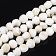 Chapelets de perles en coquille d'eau douce  SHEL-T011-02A-1