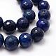 Faceted Natural Lapis Lazuli Beads Strands G-F364-14-12mm-3