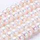 Natural Cultured Freshwater Pearl Beads Strands PEAR-P002-05-1