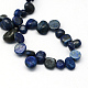 Natural Lapis Lazuli Stone Bead Strands G-R222-09-2