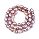 Natural Cultured Freshwater Pearl Beads Strands PEAR-N012-06A-4