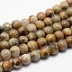 Natural Chrysanthemum Stone Beads Strands G-I131-22-6mm-1