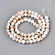Нити бусин из натуральных пресноводных раковин цвета ab BSHE-T014-40B-2