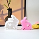 Moldes de silicona diy para decoración de exhibición de conejos SIMO-H143-01-1