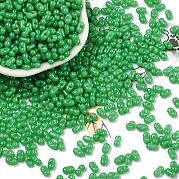 Выпечка краска стеклянные бусины SEED-L011-09A-02