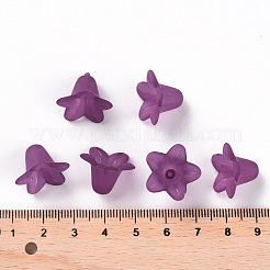 Прозрачные акриловые бусины PLF018-16