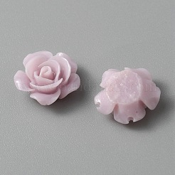 Cabochons en résine opaque&nbsp;CRES-WH0013-19B