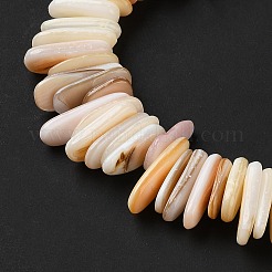 Нити бусин из натуральных ракушек SHEL-D002-01A