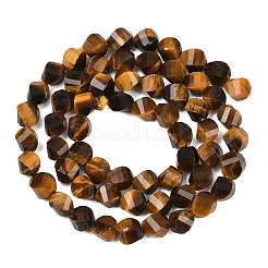 Природных тигровый глаз бисер нитей&nbsp;G-P611-C24-01