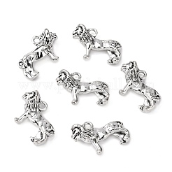 Tibetischer stil Aluminium Anhänger & Charms&nbsp;LF9364Y