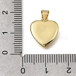 Breloques en laiton&nbsp;KK-K427-34G