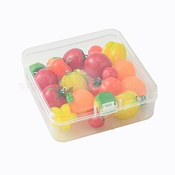 24шт 6 стиля непрозрачные подвески из смолы&nbsp;RESI-FS0001-48