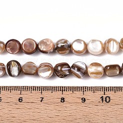 Нити бусин из натуральных пресноводных ракушек SSHEL-N040-16