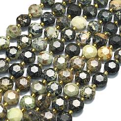 Бусы натуральная африканская бирюза (яшма) G-C116-A133-01