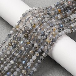 Природные лабрадорита бисер нитей G-RM250104-E3