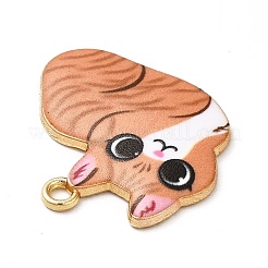 Подвески из эмали и сплава ENAM-M046-11G-D