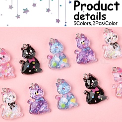 10шт 5 стиля прозрачные подвески из смолы&nbsp;RESI-FS0001-92