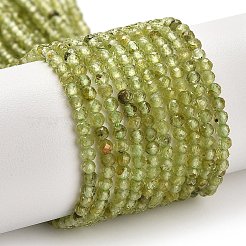 Природный перидот бисер нитей G-B107-A06-01