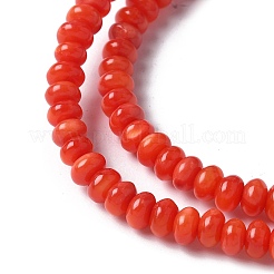 Нити бусин из натуральных пресноводных ракушек&nbsp;SSHEL-C013-08A