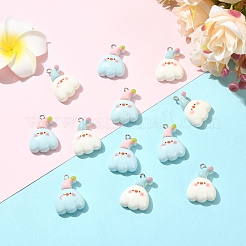 10шт 2 цвета подвески из смолы&nbsp;RESI-YW0005-88