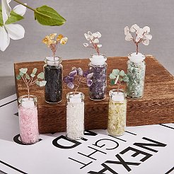 6 шт. DJEW-SZ0001-07