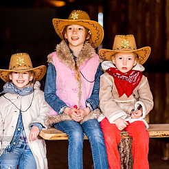 12 шт. пластиковых кабошонов в форме гексаграммы&nbsp;AJEW-MA0001-18G