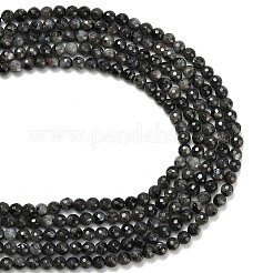 天然ラルビカイトビーズ連売り  多面カット  ラウンド  6mm  穴：0.9mm  約63~64個/連  15.16~15.28''（38.5~38.8センチメートル）&nbsp;G-C280-B06-6mm