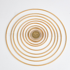 1 пакетик железных соединительных колец&nbsp;IFIN-SP0001-54KCG