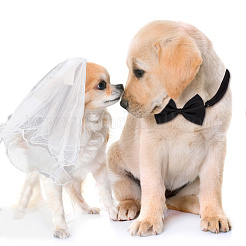 Регулируемый полиэстеровый ошейник для собак и свадебная фата для невесты&nbsp;AJEW-DR0001-74