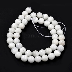 Fili di perline di selenite naturale&nbsp;G-F706-12B-02