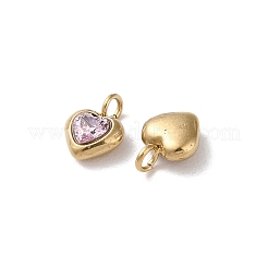 Pendentifs en acier inoxydable 304 micro pavés de zircones cubiques&nbsp;STAS-L022-396A-G