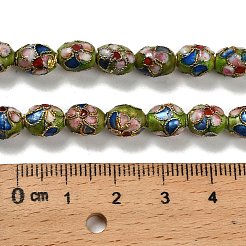 Бусины ручной работы перегородчатой CLB-F001-01A