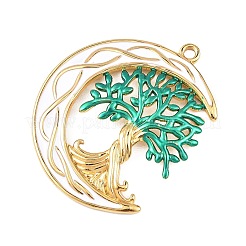 Подвески из нержавеющей стали 304 с эмалью&nbsp;STAS-Z186-05G